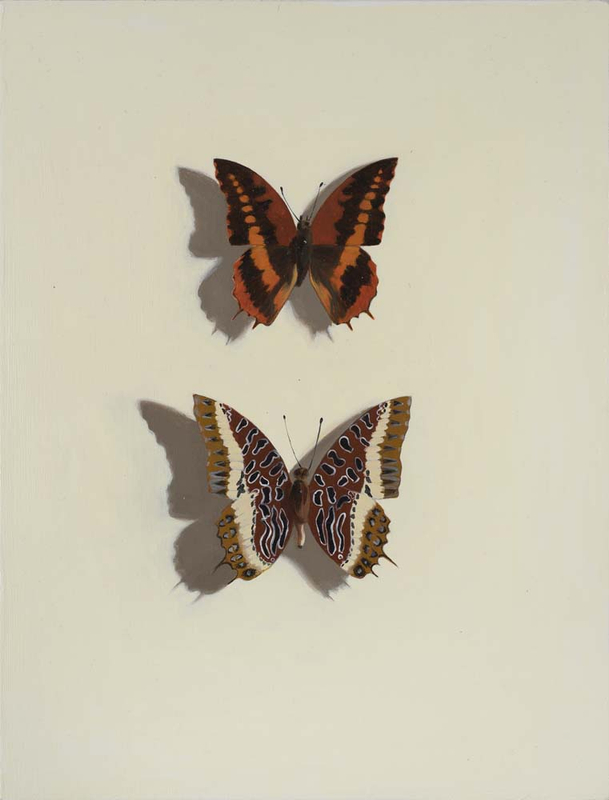 <span class=%22title%22>Pinned XII<span class=%22title_comma%22>, </span></span><span class=%22year%22>2021</span>