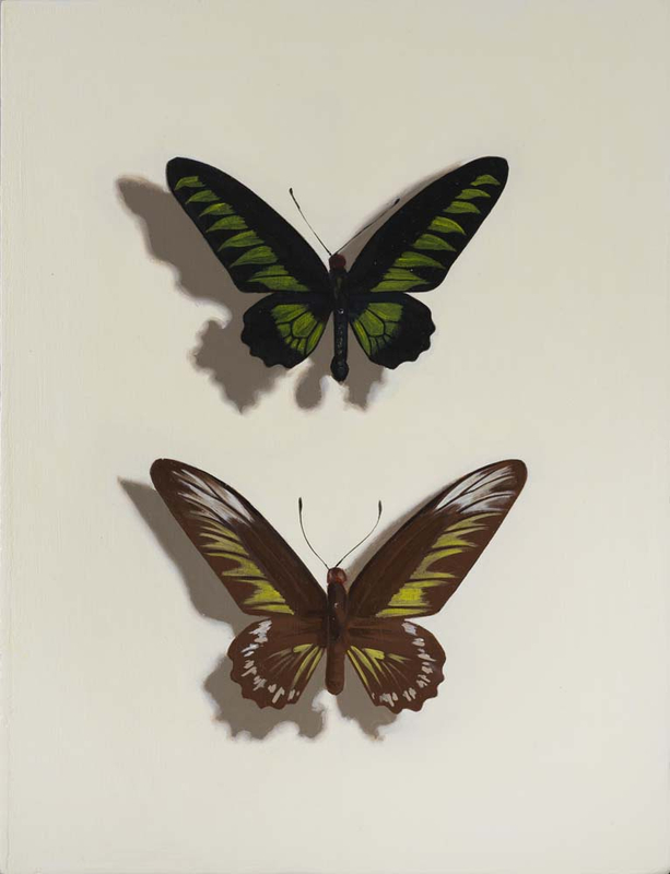 <span class=%22title%22>Pinned XIII<span class=%22title_comma%22>, </span></span><span class=%22year%22>2021</span>