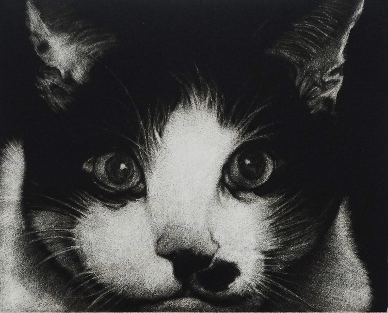 Hilary Barnes Dennis