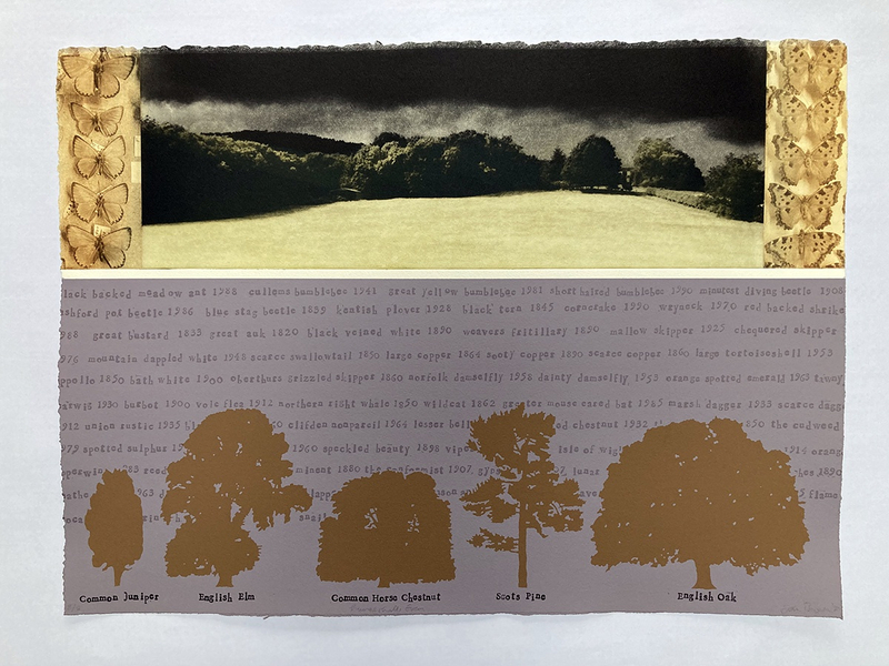 Ian Brown Lurgashall even