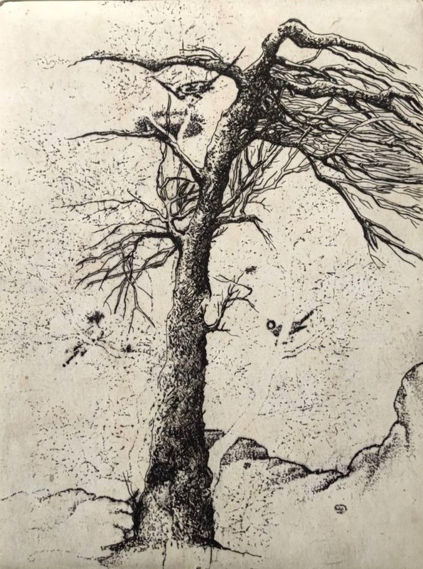 Shokoufeh Fallah Homeland 1