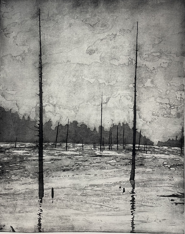 Mary Gillett New World