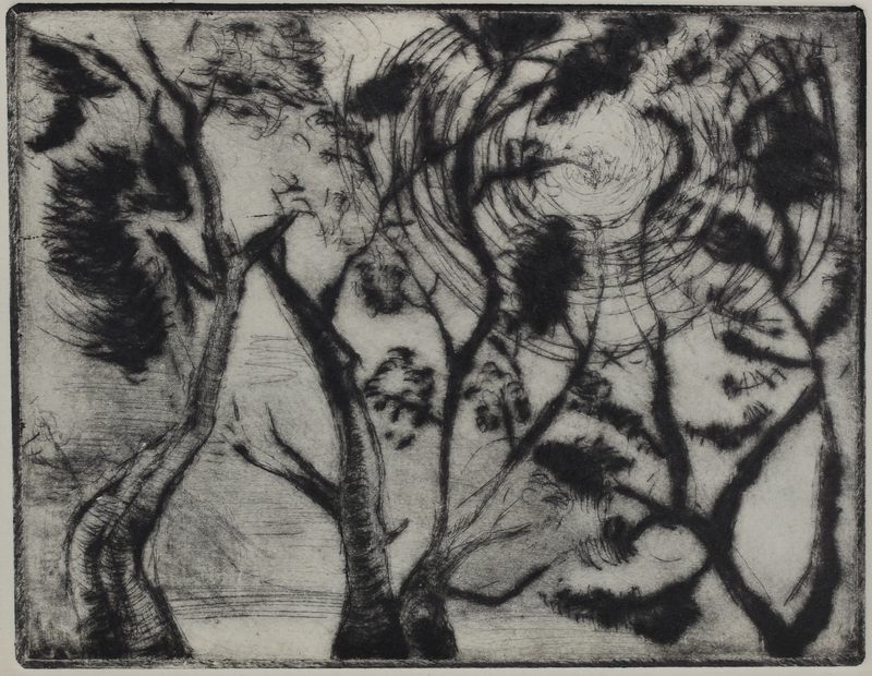 Evangelia Hamilton Canopy - Hampstead