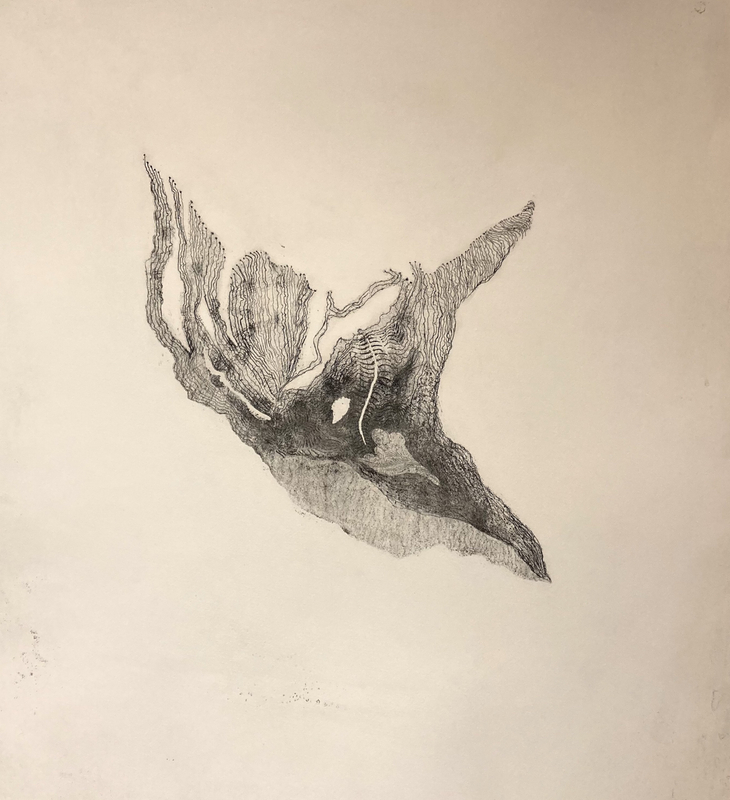 Eleanor Havsteen-Franklin Cryosphere