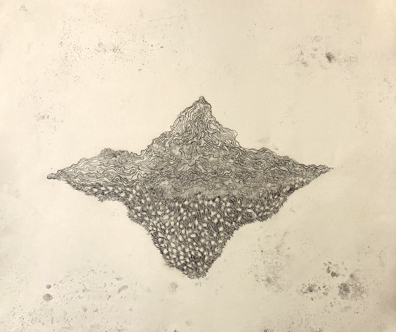 Eleanor Havsteen-Franklin Terra Mare II