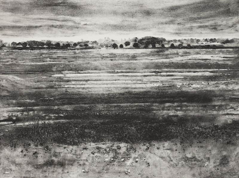 Iona Howard Harvest, Fen Edge