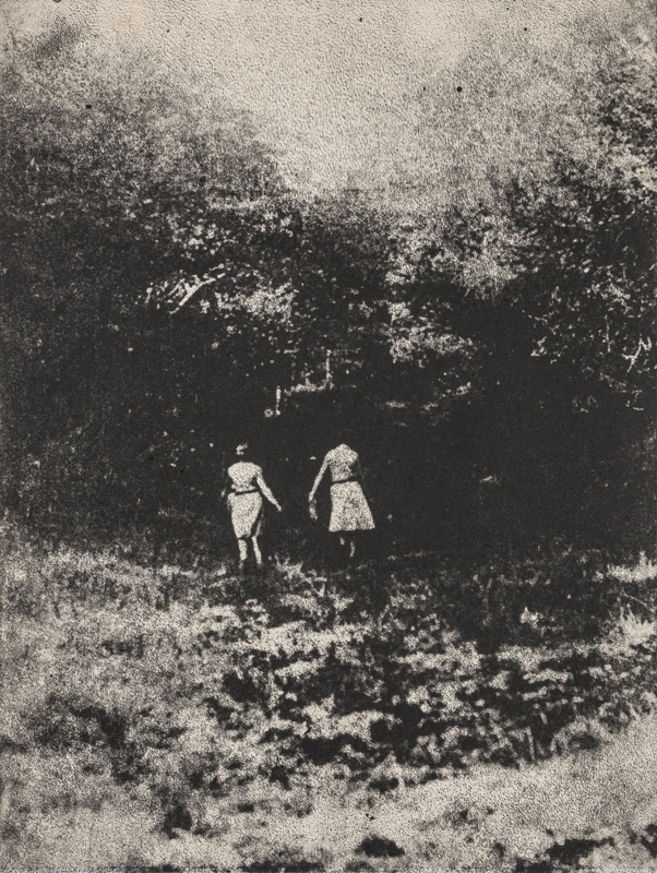 Jess Townsend A Place Both Wonderful and Strange