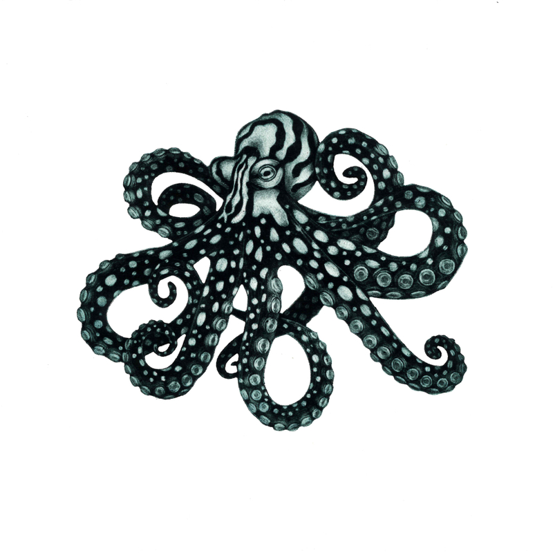 Rhianna Catt Lost and Found