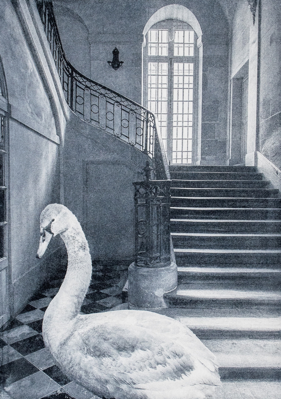 Angela Crosti Surreal World