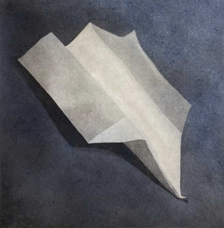 Laura Kate Greenaway Plane