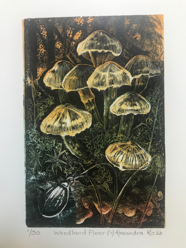 Alexandra Robb Woodland Floor 2