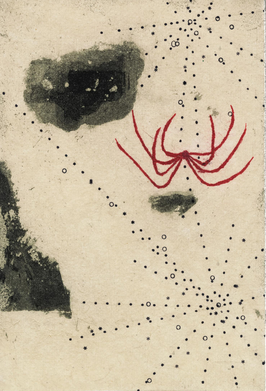 Christine Dong Red Web-weaving Spider