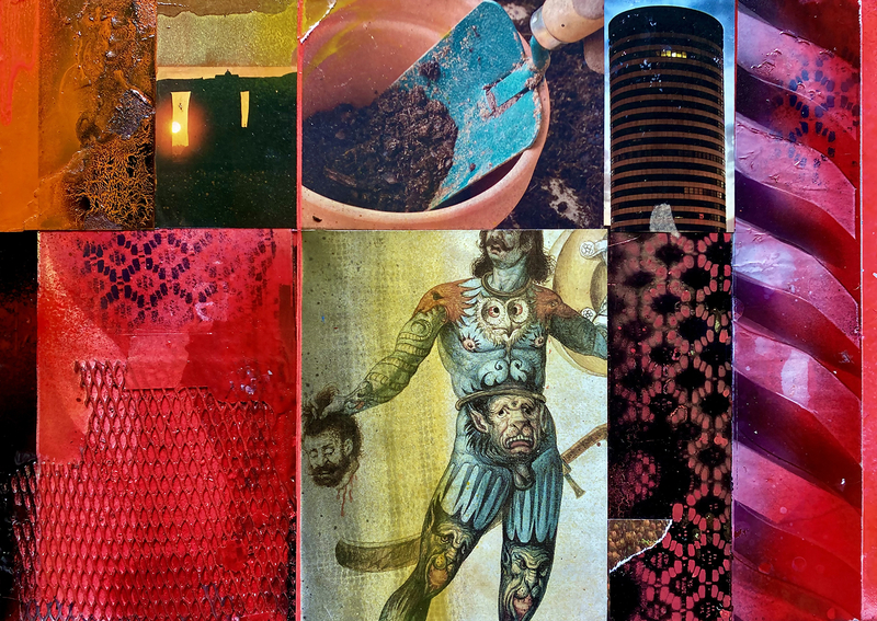 David Ferry The Day of Death & Rebirth