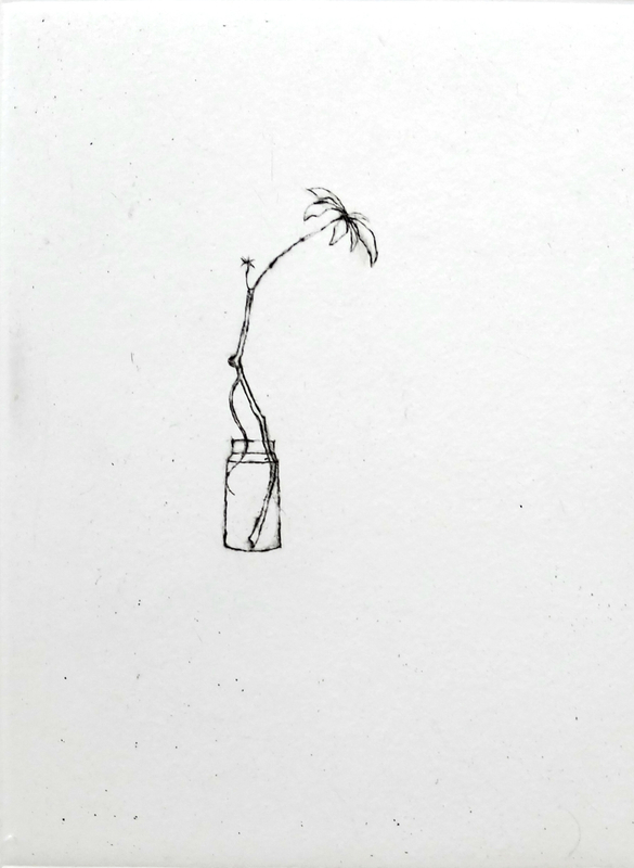 Lars Nyberg Ada's Aralia