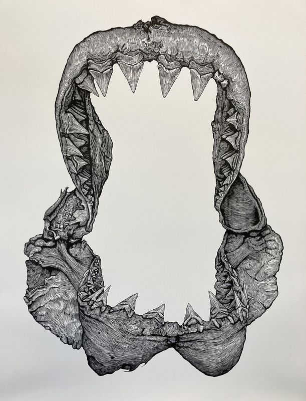 Euan Stewart We Didn't See It Coming