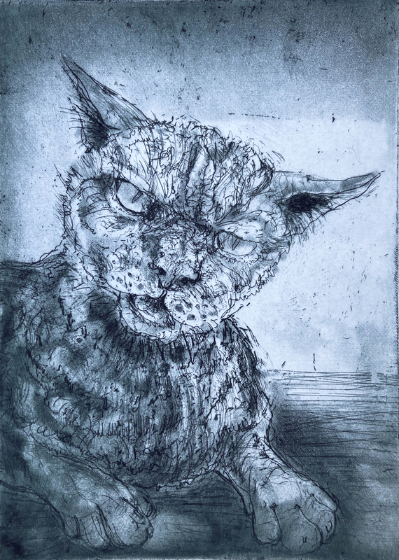 Chris Salmon RE, Cat Chat