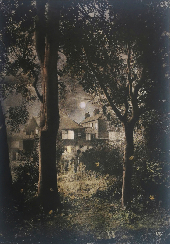 Suzanne Moxhay ARE, Woods