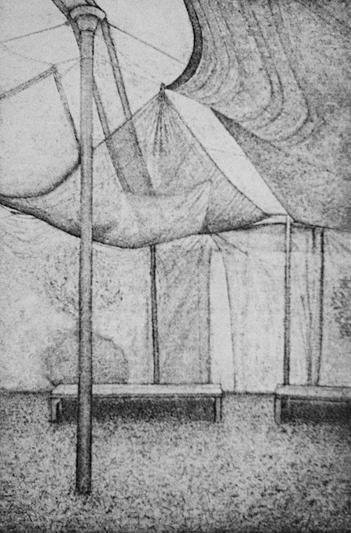 David Lintine ARE, WOMAD - Tiny Tea Tent