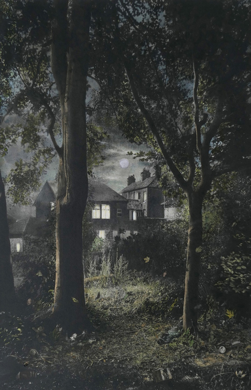 Suzanne Moxhay ARE, Woods