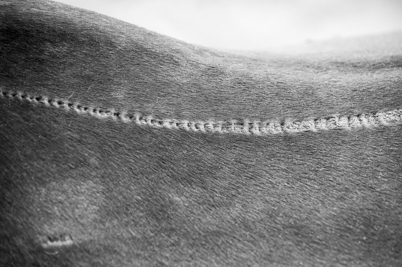 《构成系列 00》 Composition series 00 2019