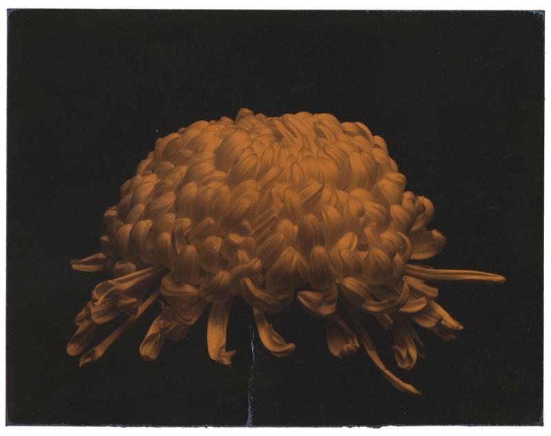 山本昌男彩色珂罗版作品