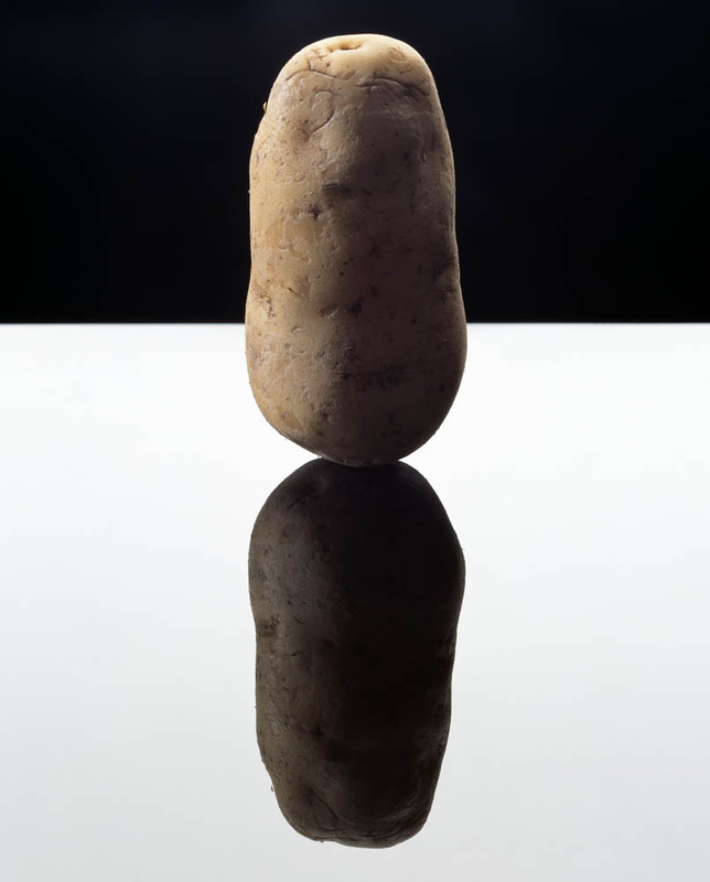 土豆 Potato, 2003 © Anuschka Blommers & Niels Schumm