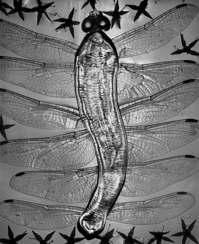 李志国 “朋友”系列 Li Zhiguo Friends Series 2009 - 2012