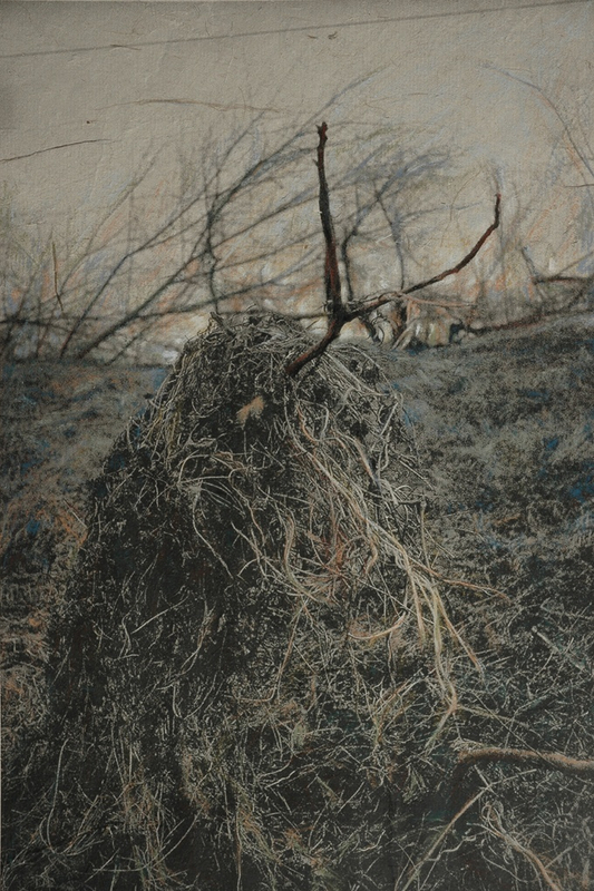 齐鸿 “草场地”系列 Qi Hong “Cao Chang Di” Series 2010