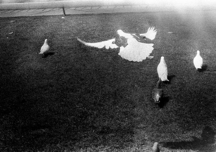 沈凌昊 《诗意的感伤》 Shen Linghao Poetic Pathos 2010