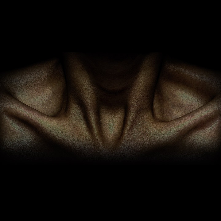 许力静 《或》 Xu Lijing Perhaps 2009