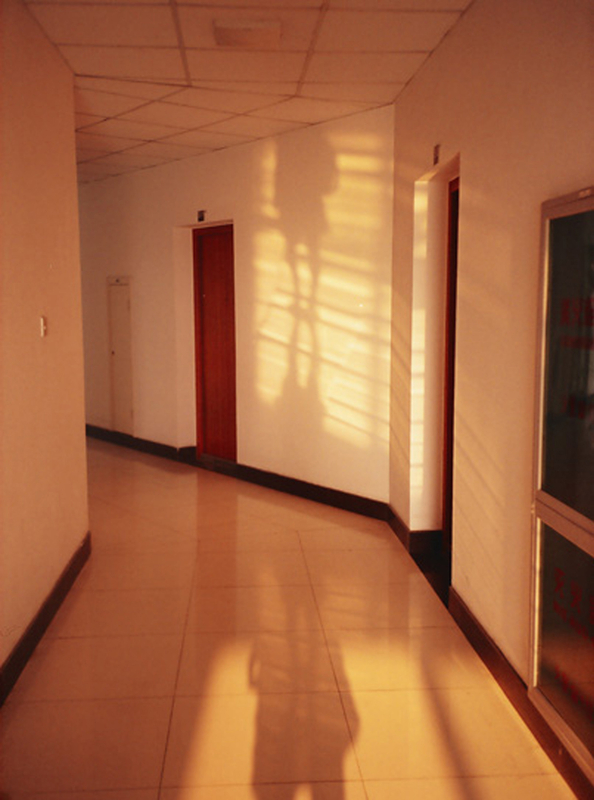 杨亚 《一次恋爱的心情》 Yang Ya A Romantic Experience 2009