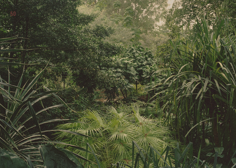 邓蔚洋，《殖民地》，2019年 收藏级艺术微喷，13.8cm x 9.8cm 图片由艺术家提供 Marvin Tang, The Colony, 2019 Archival inkjet print, 13.8cm x 9.8cm Courtesy of the artist