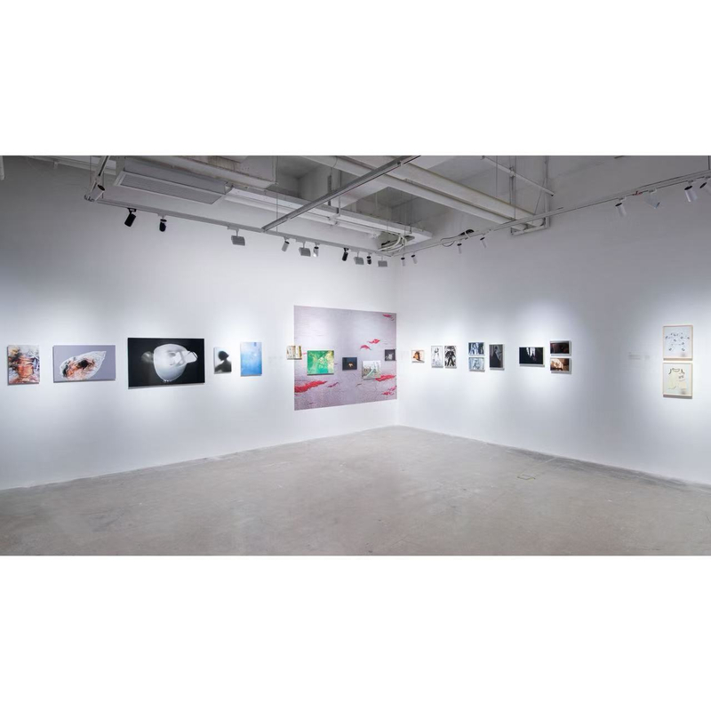 38A67Fd8Caec78C95E0D44Edb3482321