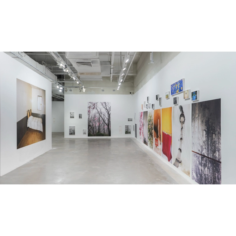 Stepping Into Nature Picture2