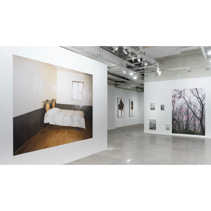 Stepping Into Nature Picture3