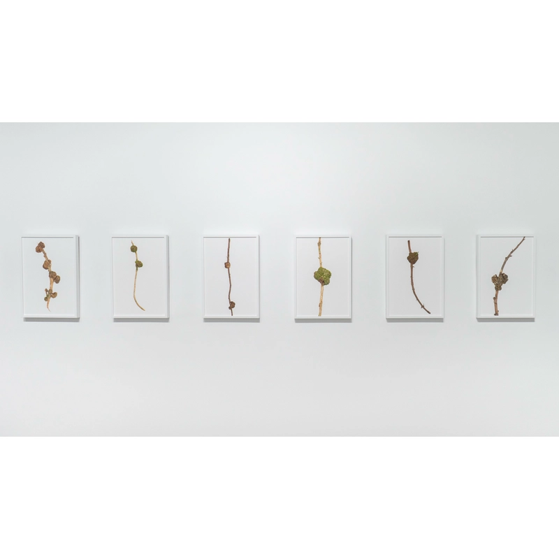 Stepping Into Nature Picture7