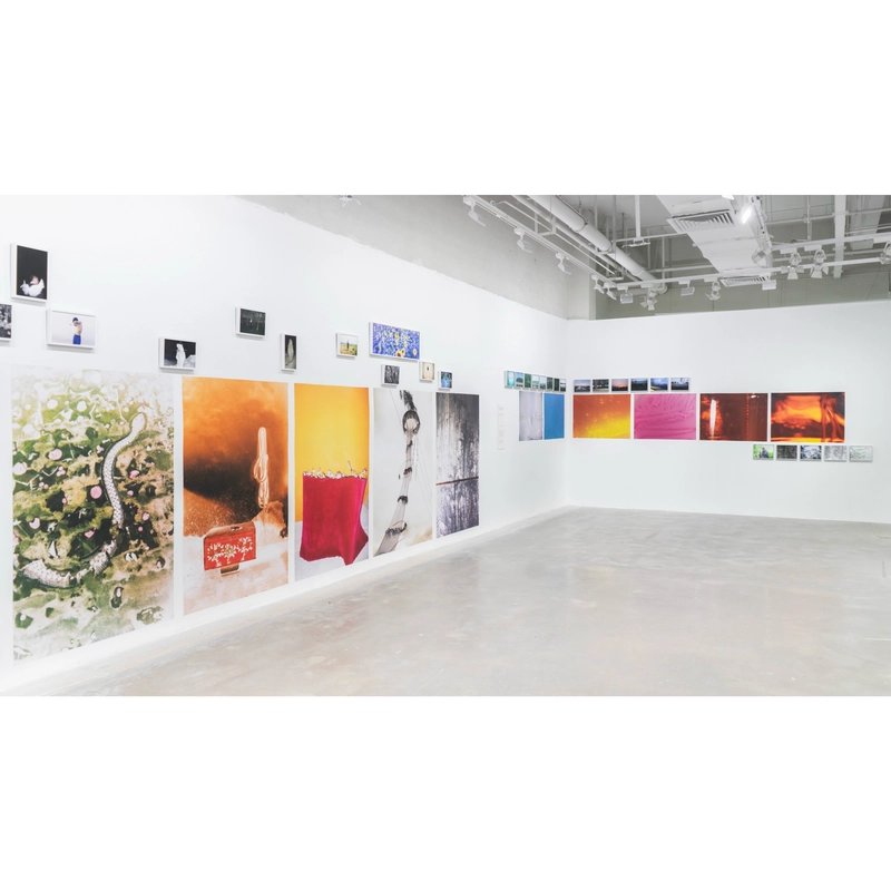 Stepping Into Nature Picture8