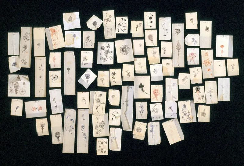 Jim Hodges features in 'Diary of Flowers: Artists and their Worlds'