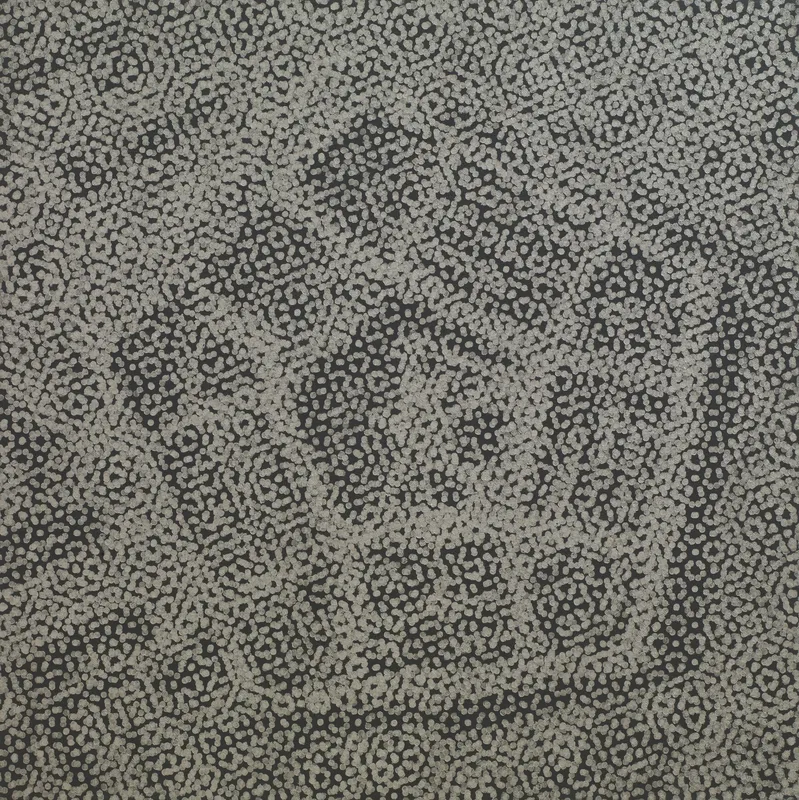 Wayne Gonzales features in 'America: Between Dreams and Realities'