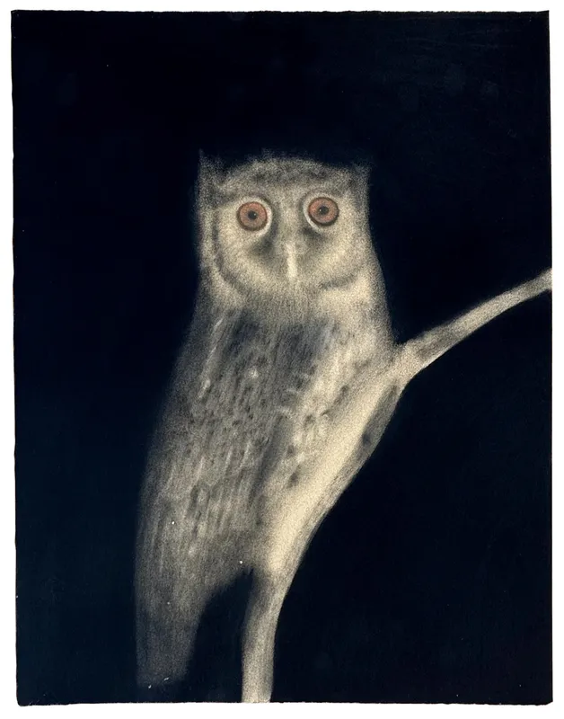 Sarah Ball contributes to 'From the Ashes'