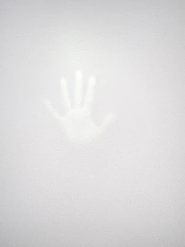 Tom Friedman features in 'Supernatural America'