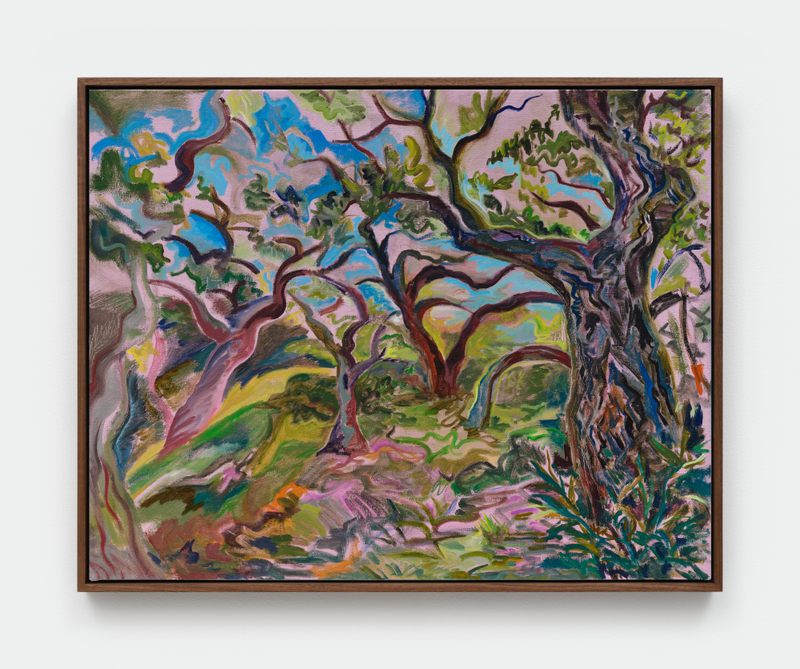 Mira Dancy, "Canyon Crest Oaks", 2025, oil and acrylic on canvas, 28 x 36 in (71.1 x 91.4 cm)