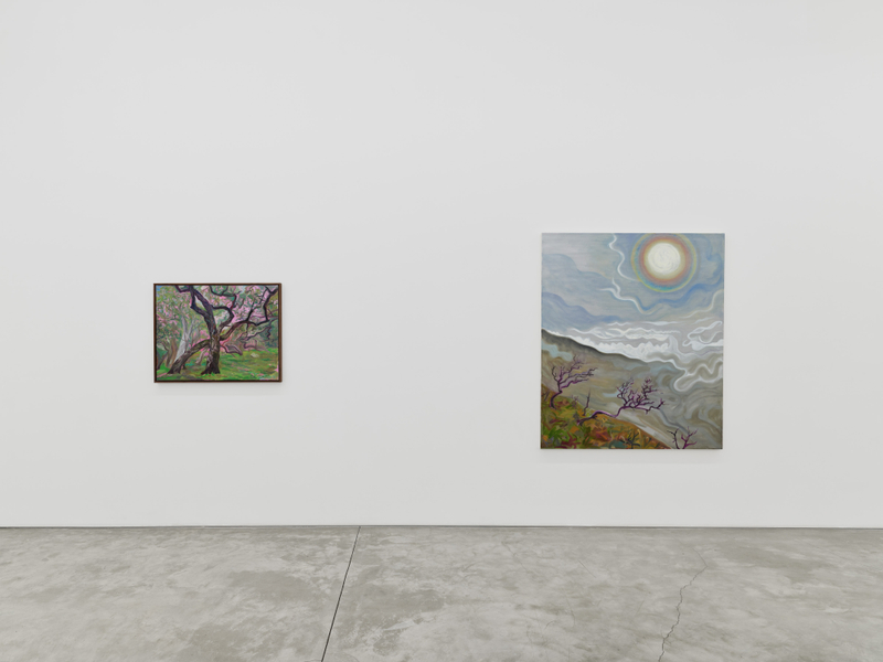 Mira Dancy, "Mourning's Orbit", installation view, 2026