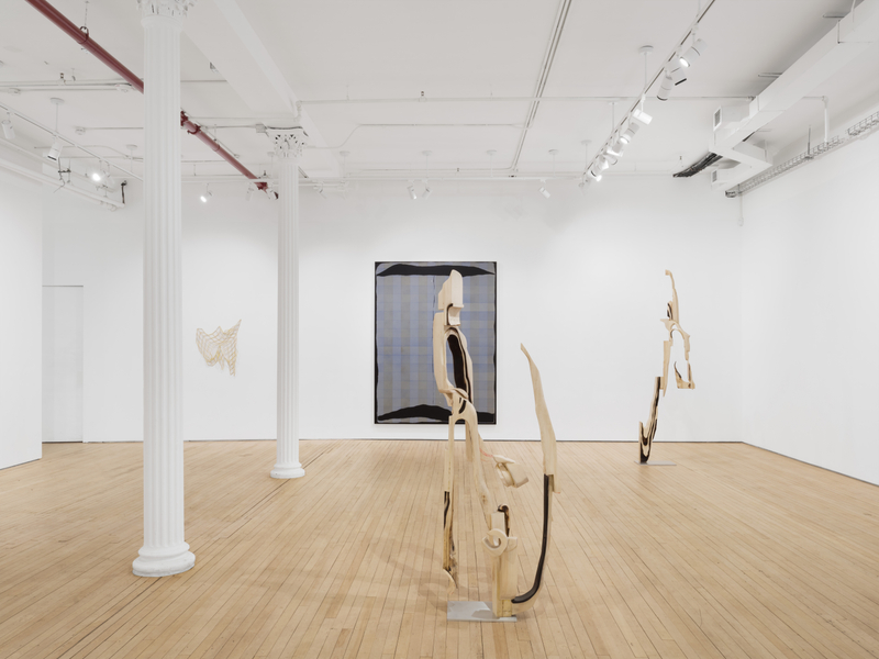 "Braided River", installation view, 2026