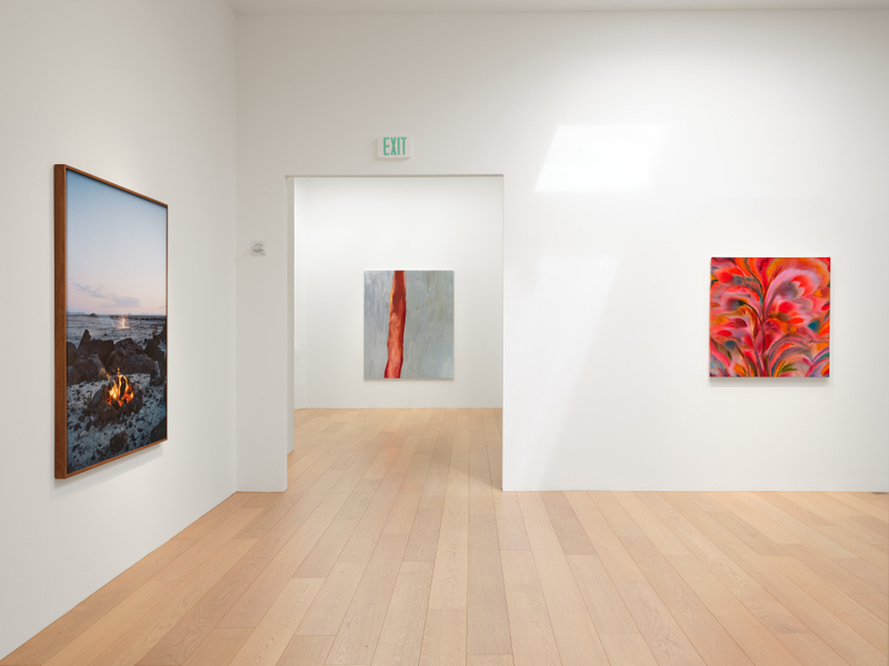 "Blush", installation view, 2026