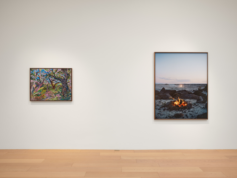 "Blush", installation view, 2026