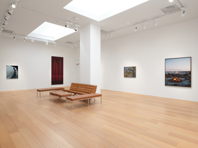 "Blush", installation view, 2026