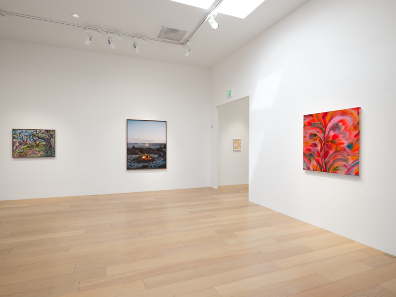 "Blush", installation view, 2026