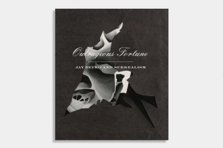 Jay DeFeo: Outrageous Fortune - Mitchell Innes & Nash - Publications - Paula Cooper Gallery