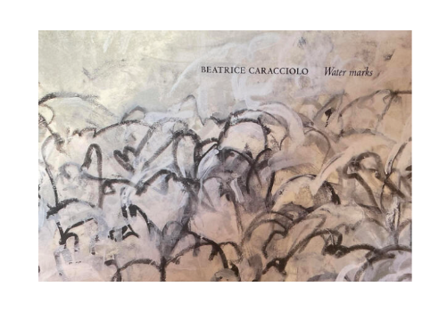 Beatrice Caracciolo: Water Marks - Charles Cowles Gallery - Publications - Paula Cooper Gallery